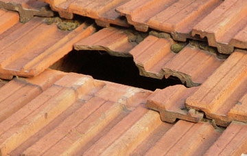 roof repair Wern Ddu, Shropshire